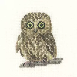 Heritage Little Owl - Aida Cross Stitch Kit