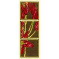 Image of RTO Lily Triptych Cross Stitch Kit