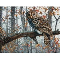 Image of Dimensions Wise Owl Cross Stitch Kit