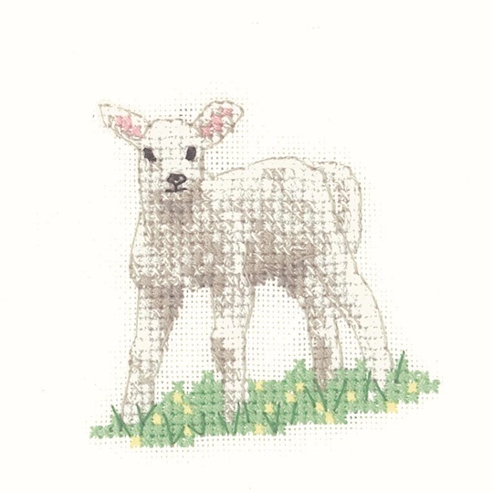 Image 1 of Heritage Lamb - Aida Cross Stitch Kit