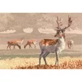 Image of Heritage Deer Park - Evenweave Cross Stitch Kit