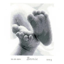 Baby Feet Birth Sampler