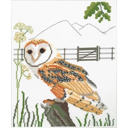 Heather Anne Designs Barn Owl Cross Stitch Kit
