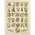 Image of Permin Floral Alphabet - Aida Cross Stitch Kit