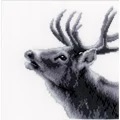 Image of Vervaco Roaring Deer Cross Stitch Kit