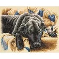 Image of Dimensions Guilty Pleasures Cross Stitch Kit