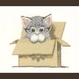 Heritage Cat in a Box - Aida Cross Stitch Kit