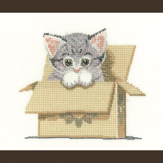 Image 1 of Heritage Cat in a Box - Evenweave Cross Stitch Kit