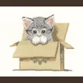 Image of Heritage Cat in a Box - Evenweave Cross Stitch Kit