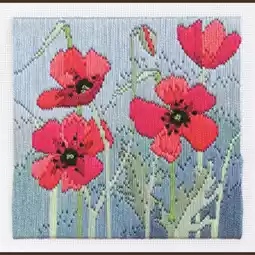 Derwentwater Designs Wild Poppies Long Stitch Kit
