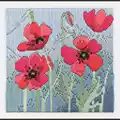 Image of Derwentwater Designs Wild Poppies Long Stitch Kit
