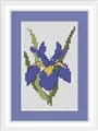 Image of Luca-S Iris Mini Cross Stitch Kit