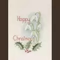 Image of Derwentwater Designs Snowdrops Card Christmas Cross Stitch Kit