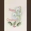 Image of Derwentwater Designs Snowdrops Christmas Card Making Christmas Cross Stitch Kit