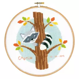 Raccoon in Tree Sampler