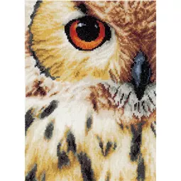 Lanarte Owl Cross Stitch Kit