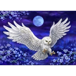 Grafitec Moonlight Owl Tapestry Canvas