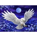 Image of Grafitec Moonlight Owl Tapestry Canvas