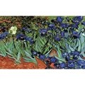 Image of Grafitec Irises Tapestry Canvas