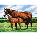 Image of Grafitec Mare and Foal Tapestry Canvas