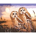Image of Grafitec Owls by Moonlight Tapestry Canvas