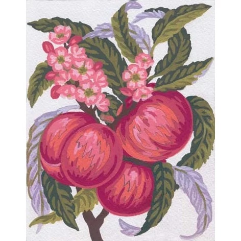Image 1 of Grafitec Apples and Blossom Tapestry Canvas