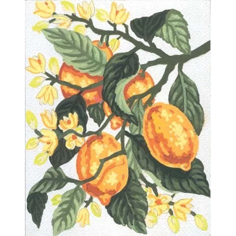 Image 1 of Grafitec Lemons Tapestry Canvas