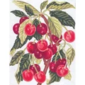 Image of Grafitec Cherries Tapestry Canvas