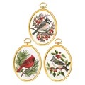 Image of Janlynn Winter Birds Embroidery Kit