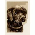 Image of Vervaco Labrador Puppy Cross Stitch Kit