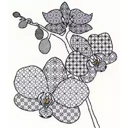 Blackwork Orchid