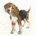 Image of Bothy Threads Beagle Cross Stitch Kit