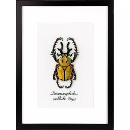 Vervaco Golden Beetle Cross Stitch Kit