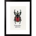 Image of Vervaco Red Beetle Cross Stitch Kit