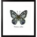 Image of Vervaco Blue Butterfly Cross Stitch Kit