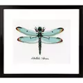 Image of Vervaco Dragonfly Cross Stitch Kit