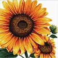 Image of Needleart World Sunflower No Count Cross Stitch Kit