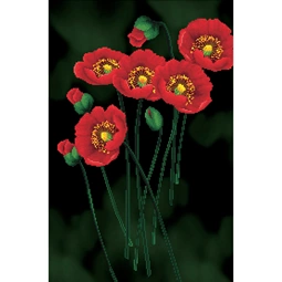 Needleart World Red Poppies No Count Cross Stitch Kit