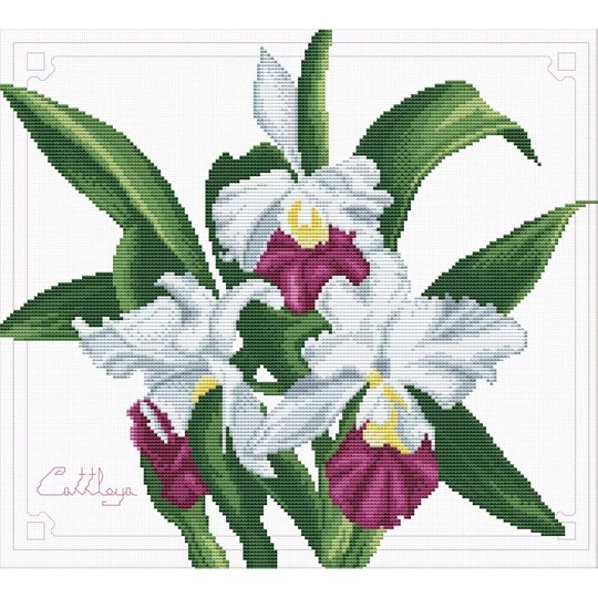 Image 1 of Needleart World Bouquet of Orchids No Count Cross Stitch Kit