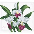 Image of Needleart World Bouquet of Orchids No Count Cross Stitch Kit
