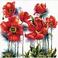 Image of Needleart World Lovely Poppies No Count Cross Stitch Kit
