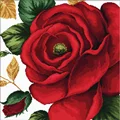 Image of Needleart World Rose No Count Cross Stitch Kit