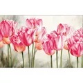 Image of Needleart World Pink Tulips No Count Cross Stitch Kit