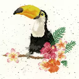 Bothy Threads Toucan of My Affection Cross Stitch Kit