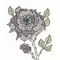 Image of Bothy Threads Rose Blackwork Kit