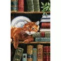 Image of Vervaco Cat on Bookshelf Cross Stitch Kit