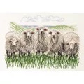 Image of Permin Sheep - Aida Cross Stitch Kit