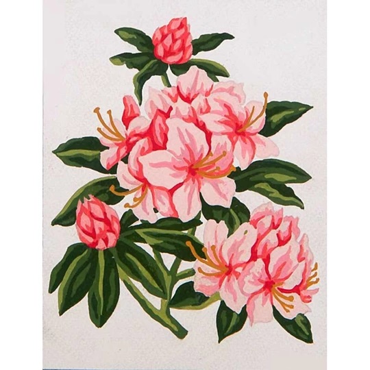 Image 1 of Grafitec Pretty Pinks Tapestry Canvas