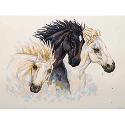 Grafitec Wild Stallions Tapestry Canvas