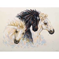 Image of Grafitec Wild Stallions Tapestry Canvas